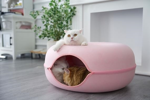 Small Pets