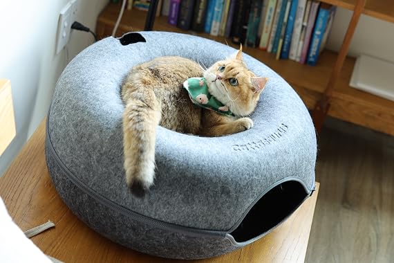 Pet Health