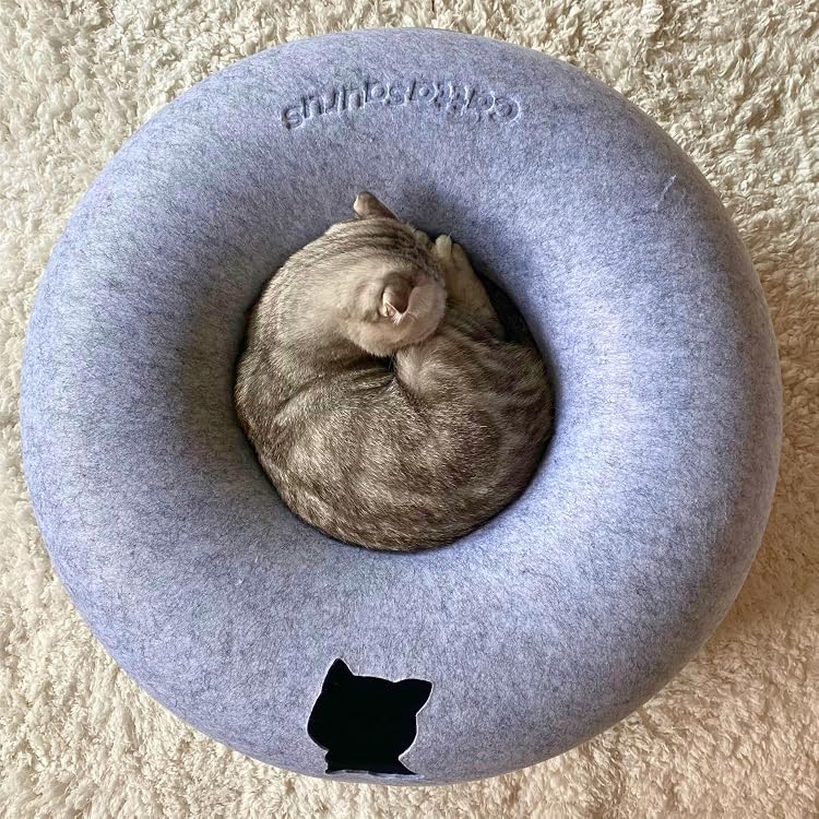 Pet Care Guide