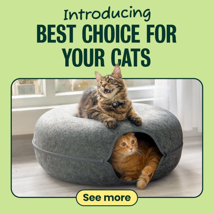 Cat Supplies